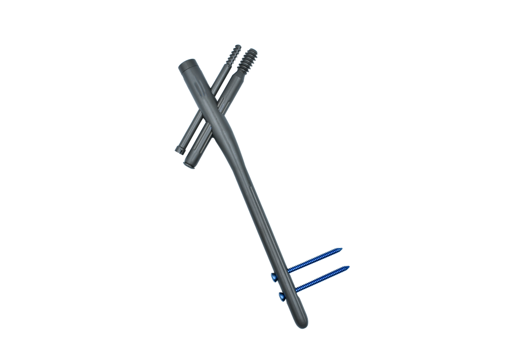 Short PFN / Proximal Femoral Nail (Double Screw)