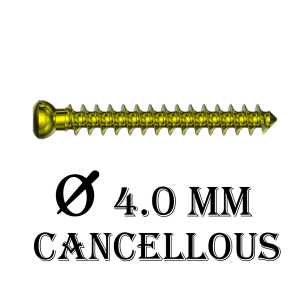 4.0 mm Cancellous Non Locking Screw